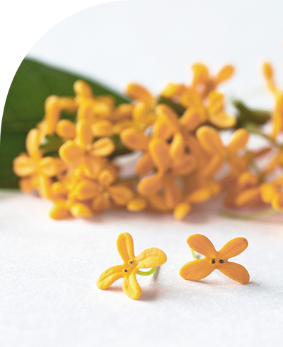 キンモクセイの香り